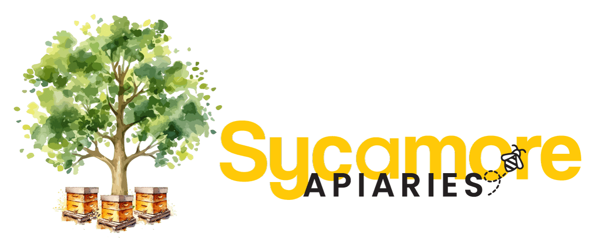 A green background with the words sycamore apparel in yellow.