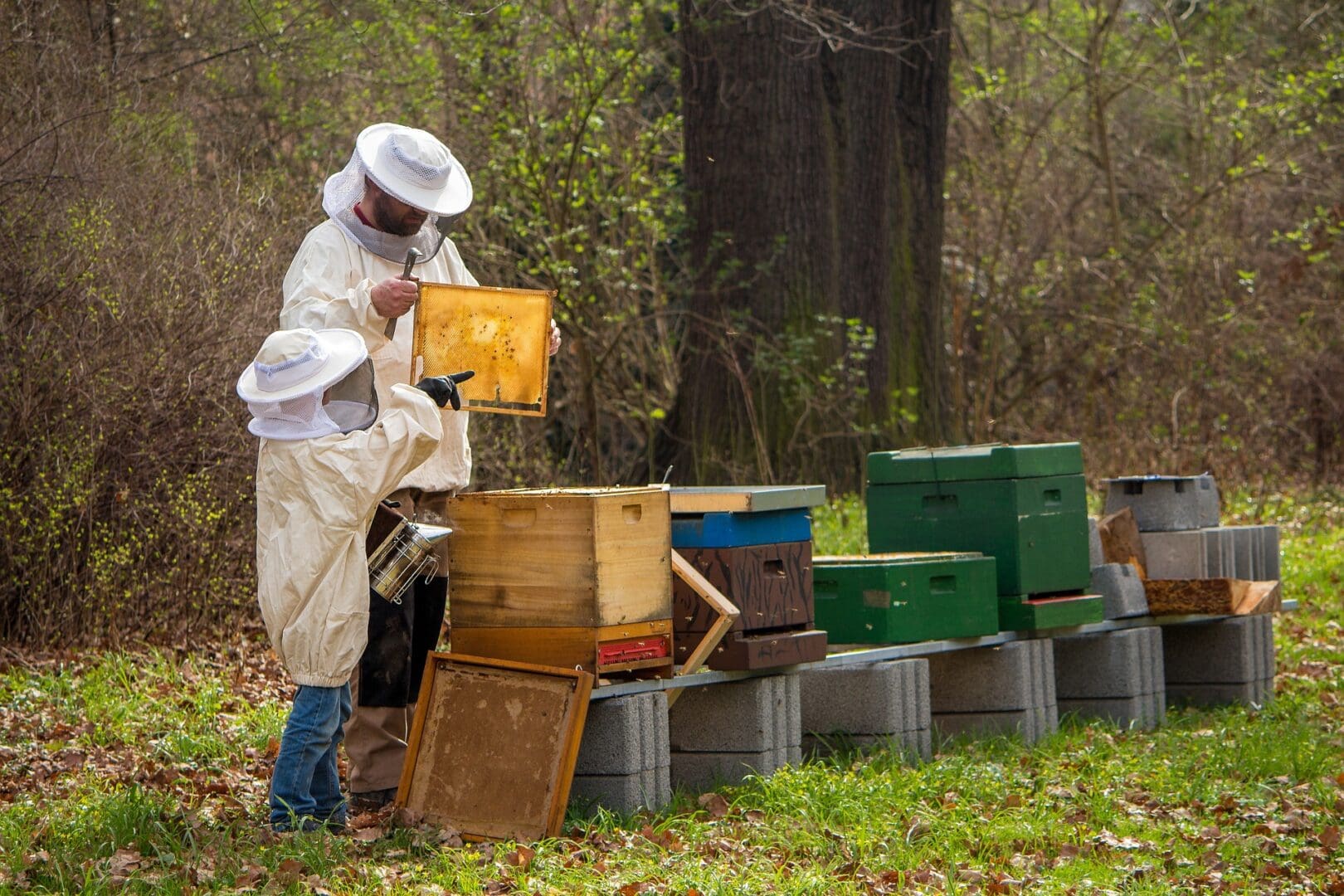 A beekeeper is working in the forest with his bees.