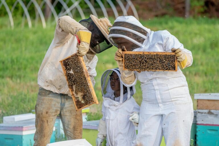 Two people in white suits holding a bee hive.